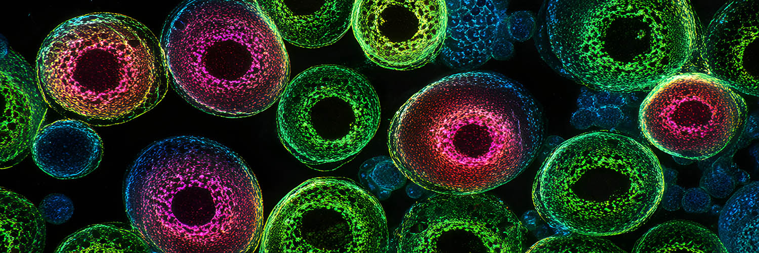 Biocompare banner