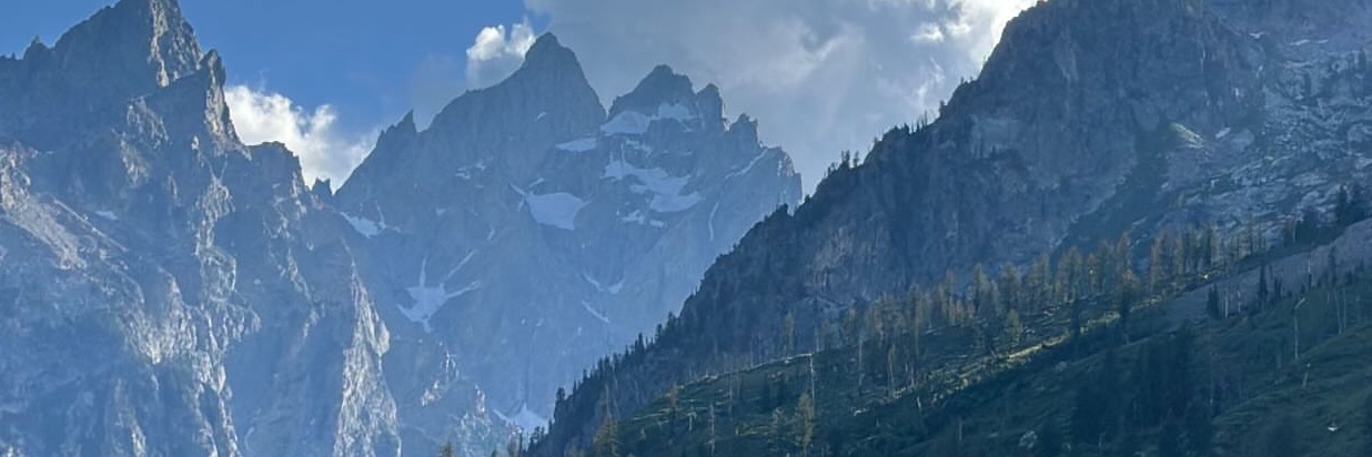 cps banner