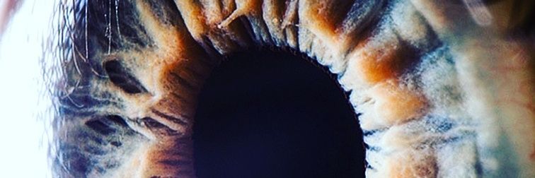 leonxo_'s profile banner image