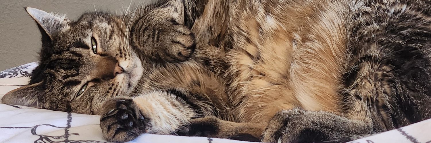23Poptart's profile banner image