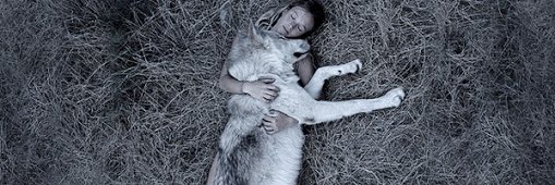 LassieWolf's profile banner image