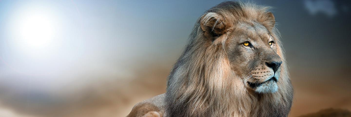 paramabhijeet's profile banner image