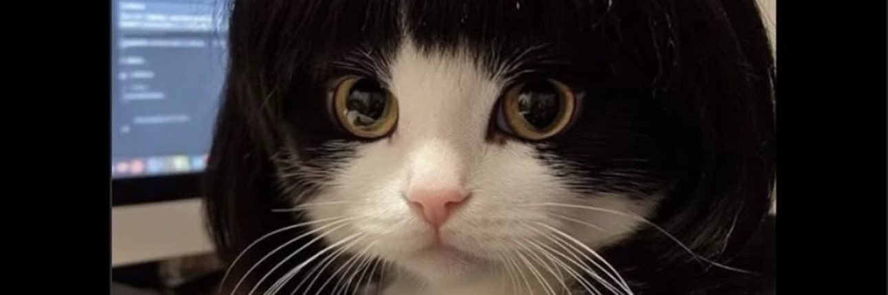 afoidme's profile banner image