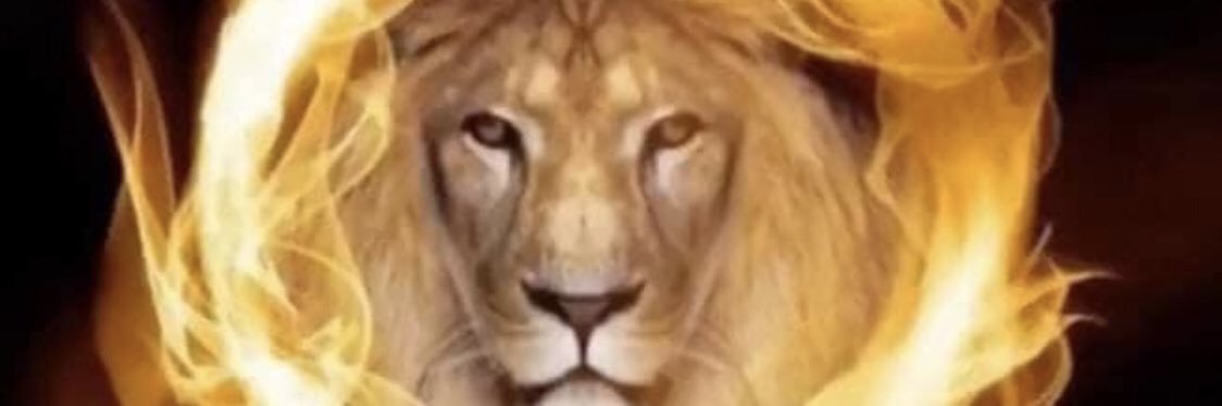 basilesabrina's profile banner image