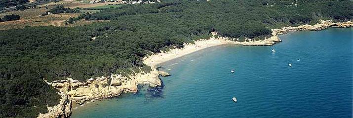 Marc Samper Seró banner