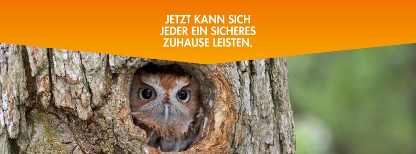 LUPUS-Electronics banner