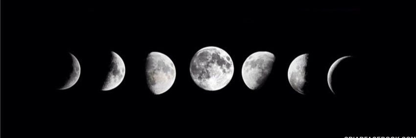 _carolinerlima's profile banner image