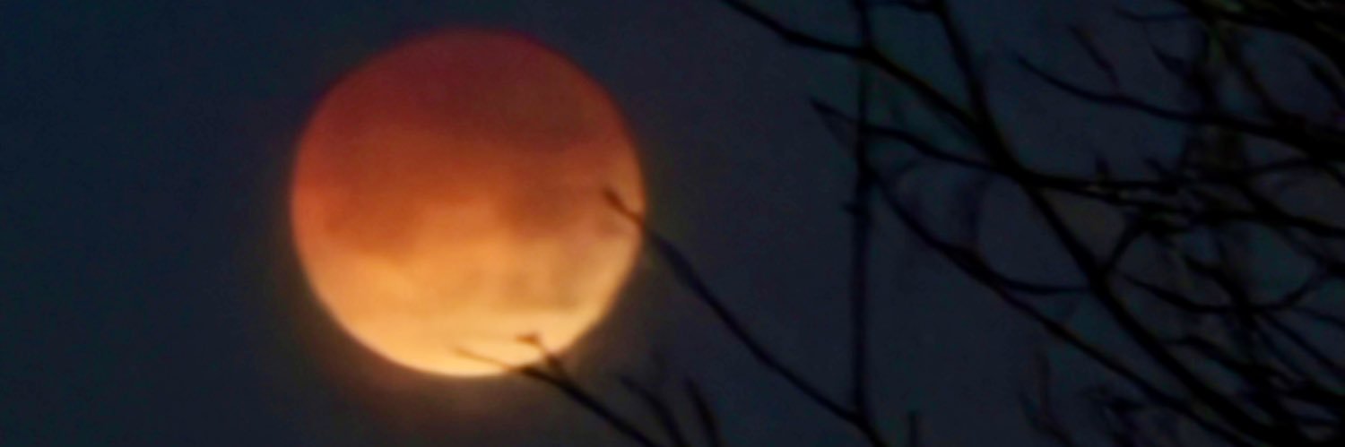 lanaszabo's profile banner image