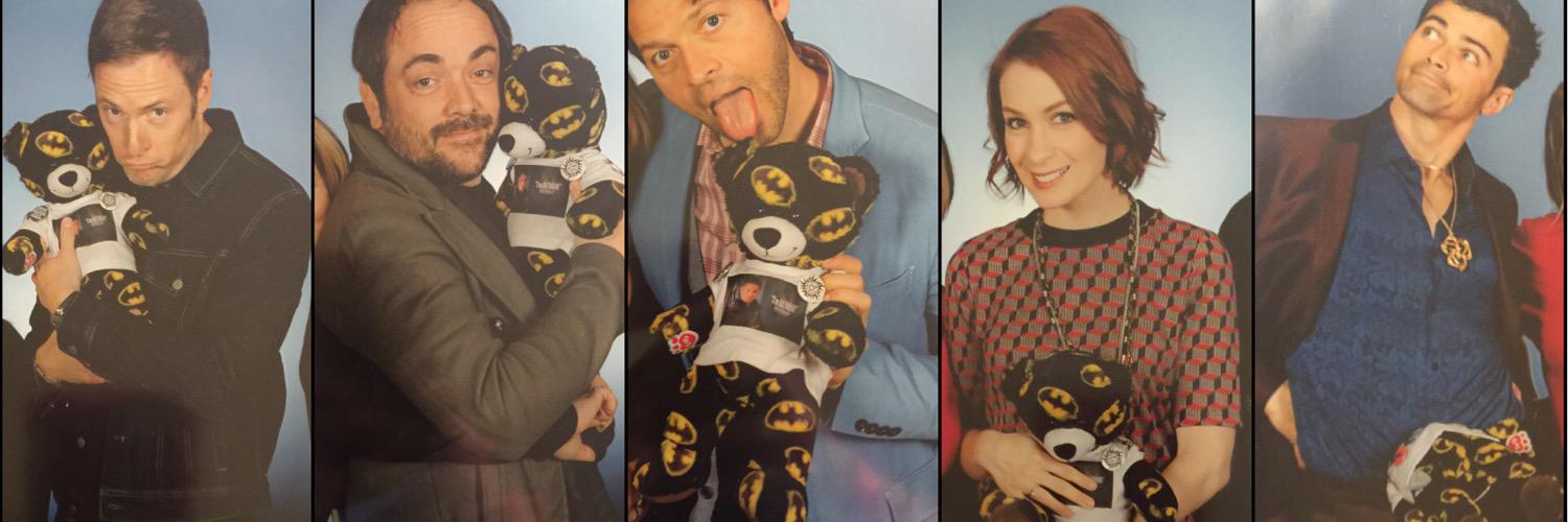 BatTeddy's profile banner image
