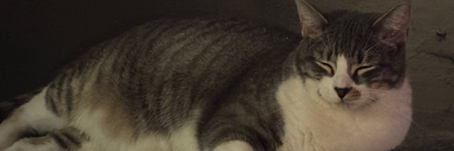 ryndickulous's profile banner image