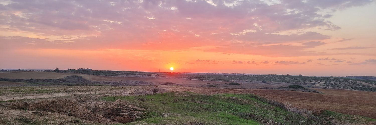 חיים ילין Haim Jelin banner