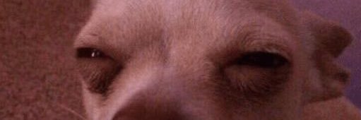 imjustmariiam's profile banner image