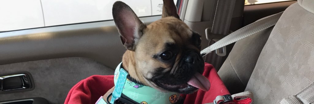 BartPcv's profile banner image