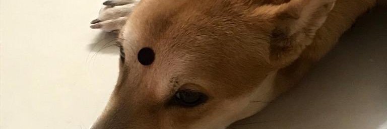 Beebo00000's profile banner image