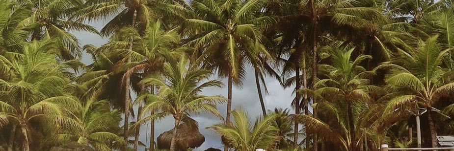 ViiSilvas2's profile banner image
