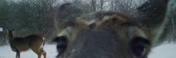 PilarGrecco's profile banner image