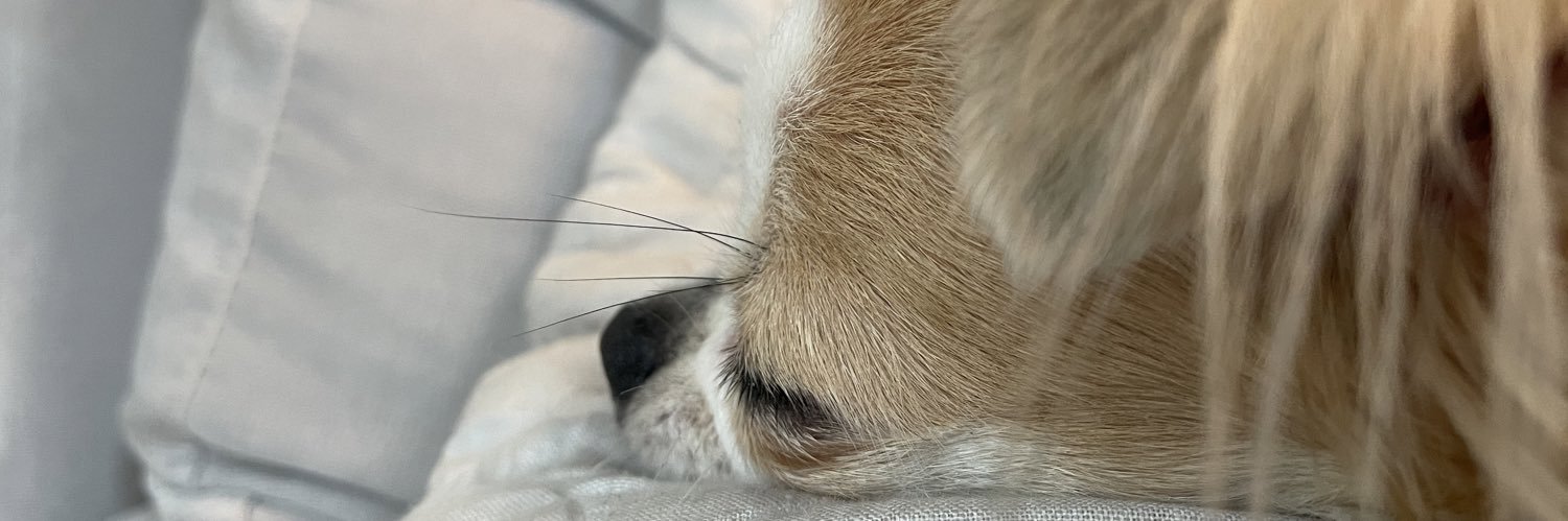 FULIG0's profile banner image