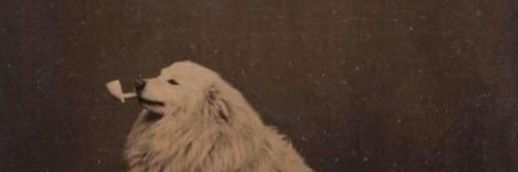 ZachWilsonnn's profile banner image
