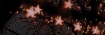 karigrumicker's profile banner image