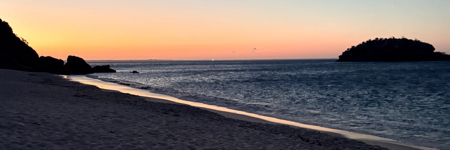 _margaridap_'s profile banner image