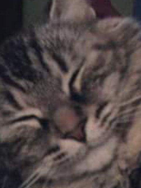 CoteLopezr's profile banner image