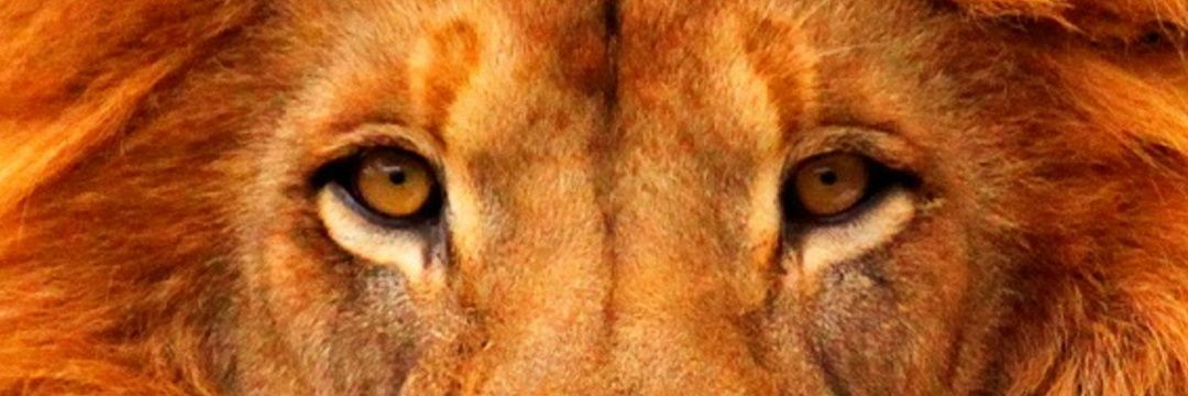 corbingrow3's profile banner image