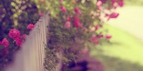 hadeel_jp's profile banner image
