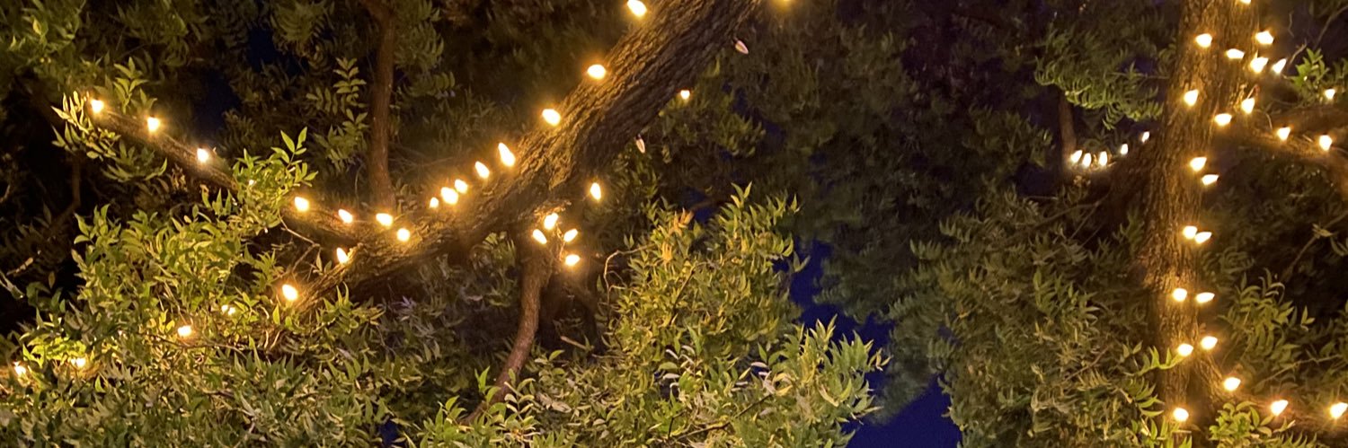 TaylorLauryn2's profile banner image