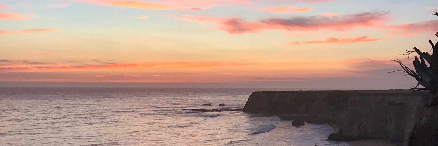 allyswayzee's profile banner image
