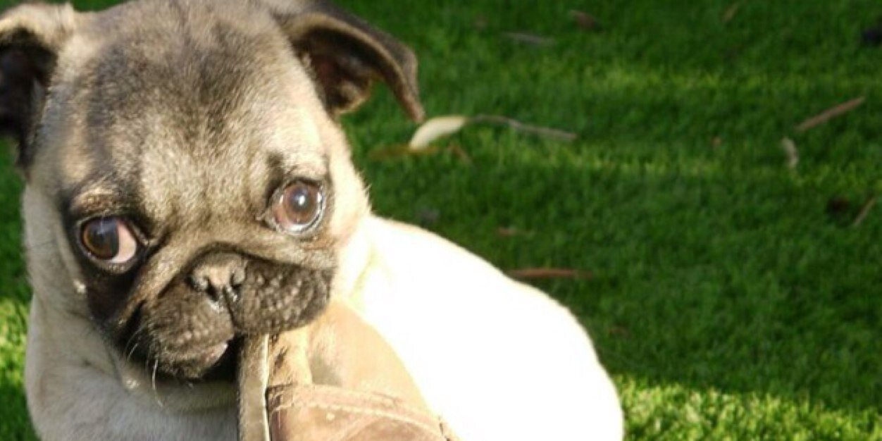 Ramón Cabo Gambín banner