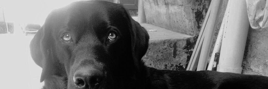 _Volkovag's profile banner image