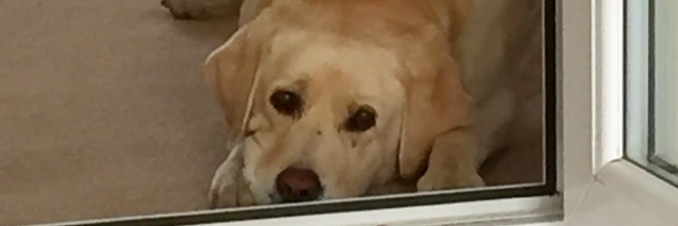 MarkConnolly01's profile banner image