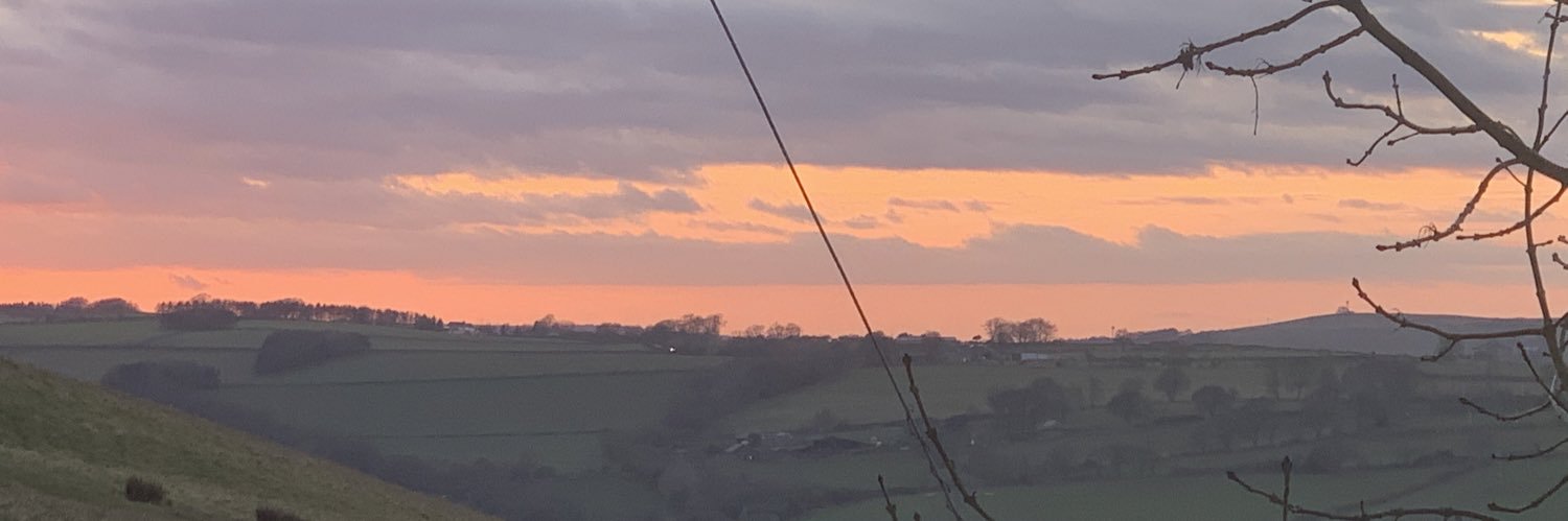 llidnas's profile banner image