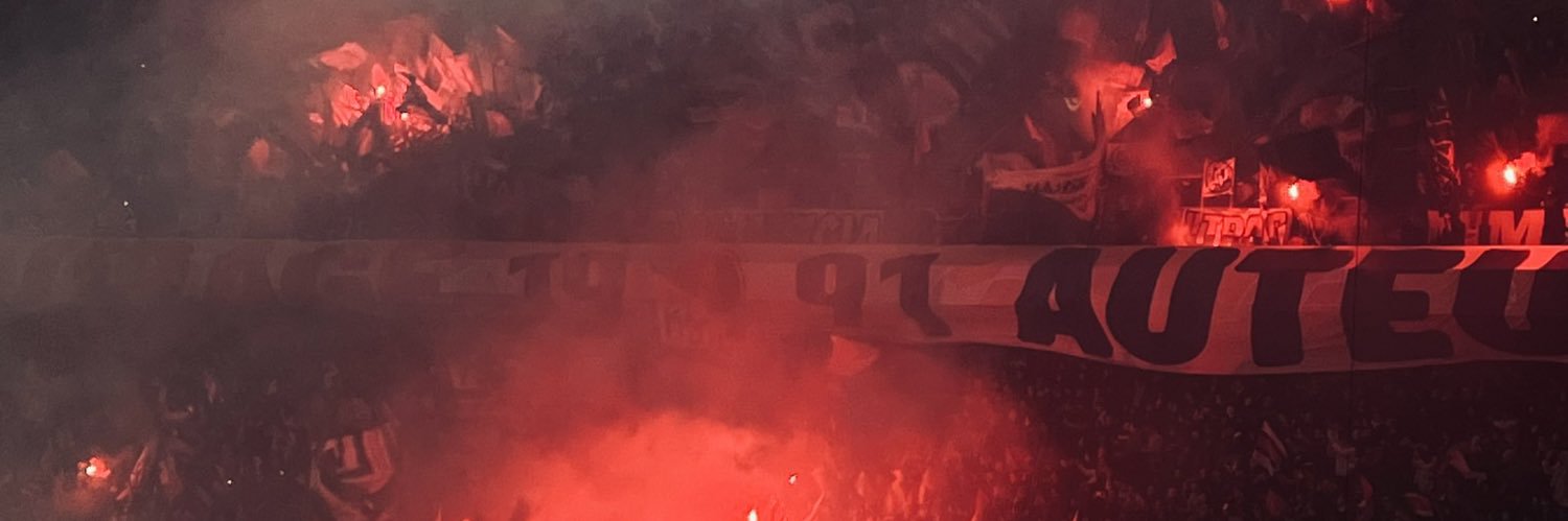 euividnl's profile banner image