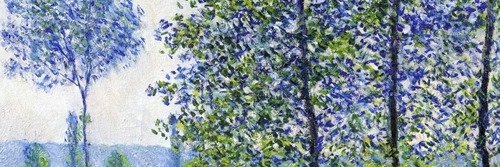 rogerconlon's profile banner image