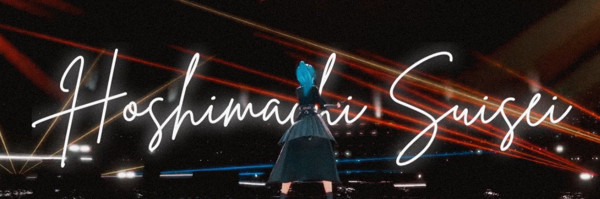 VlaizFujin's profile banner image
