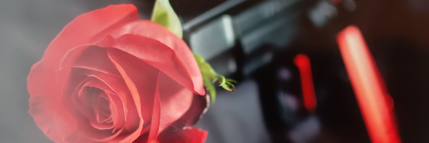 drolsonator's profile banner image