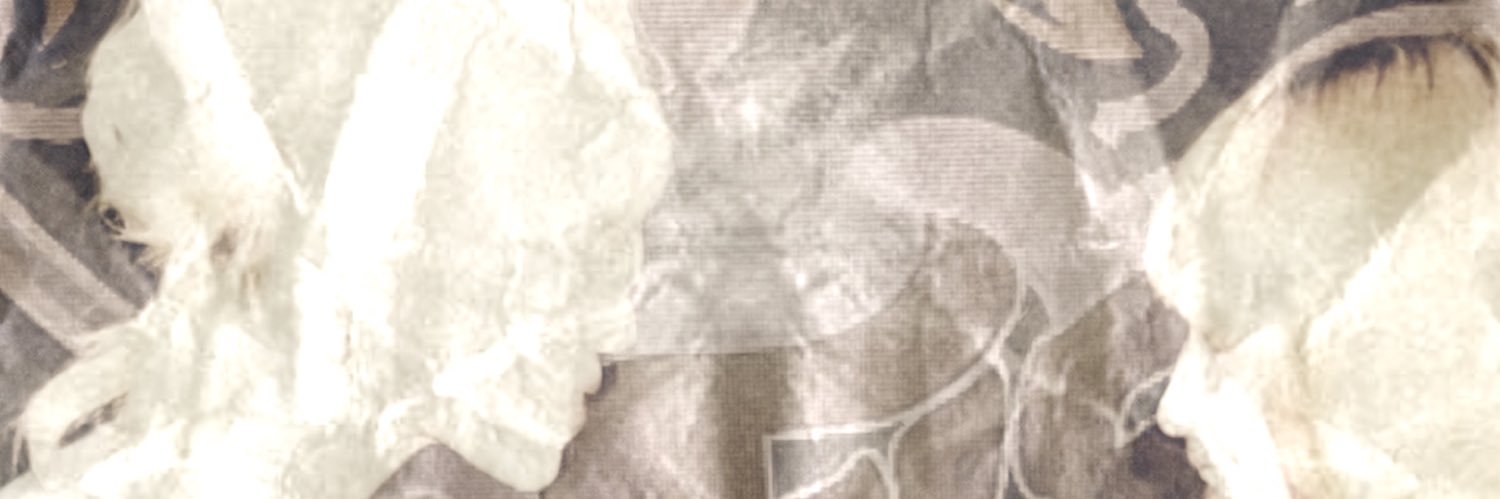 vallun's profile banner image