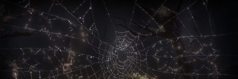 PiperDharmaaa's profile banner image