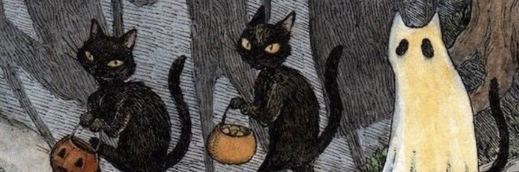 AugustoTMiranda's profile banner image