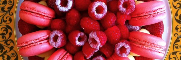 andrewshotts Profile Banner