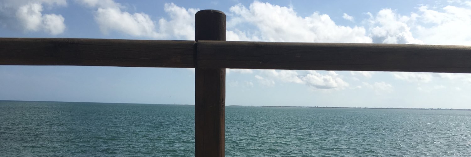 Albert Mestre Gil banner