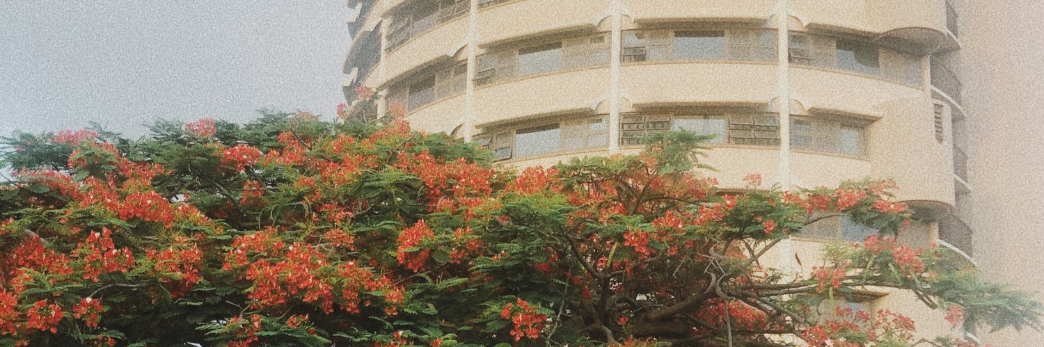 sunnisquid's profile banner image