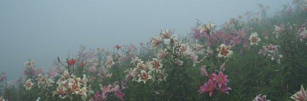 spacecadetchloe Profile Banner