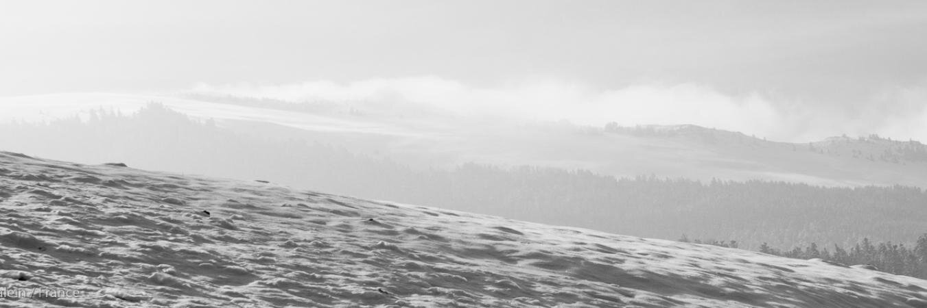juboulay's profile banner image
