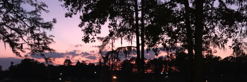 _taylorpp's profile banner image