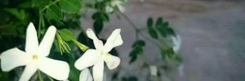 abdalrheemkhat2's profile banner image