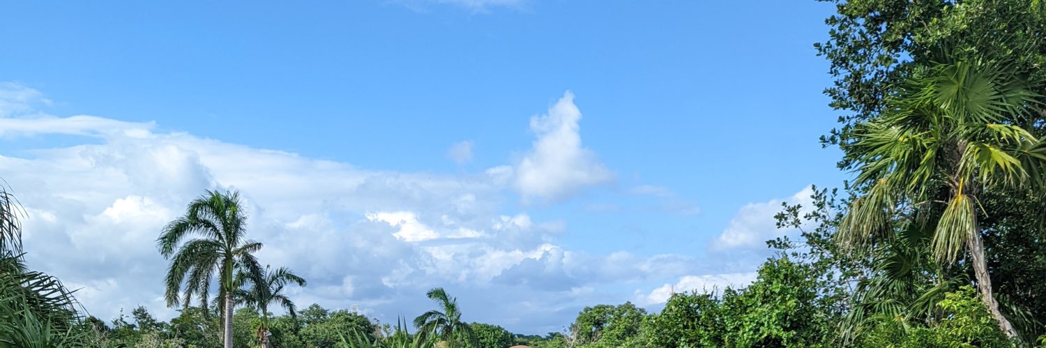 Akua_Nataley's profile banner image