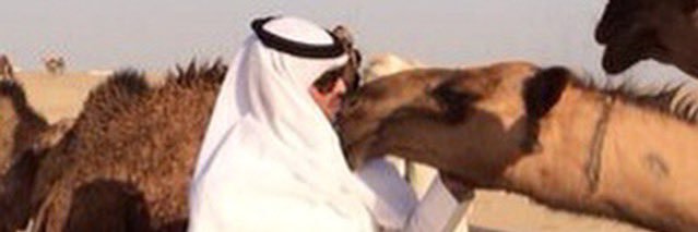 Sharfaan's profile banner image