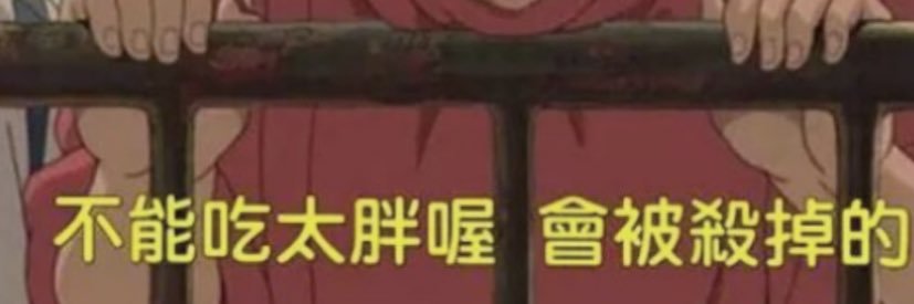 dc255601981's profile banner image